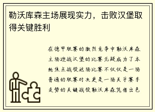 勒沃库森主场展现实力，击败汉堡取得关键胜利