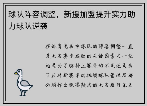 球队阵容调整，新援加盟提升实力助力球队逆袭